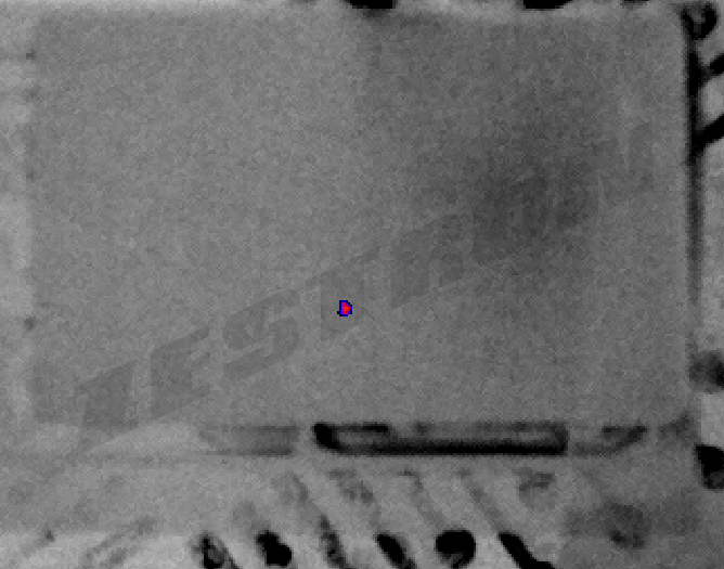 枝晶形态，电化学迁移是什么样